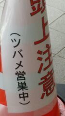 つばめ①.jpg
